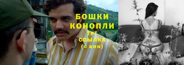 кокаин Белокуриха
