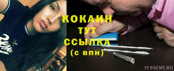 гашик Белоозёрский