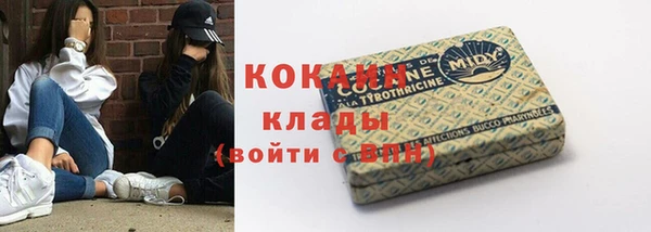 гашик Белоозёрский