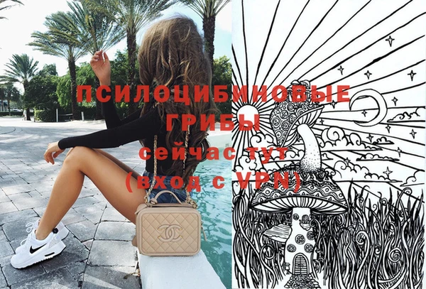 кокаин Белокуриха