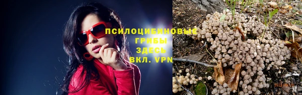 MDMA Premium VHQ Беломорск