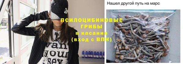 дживик Богородицк
